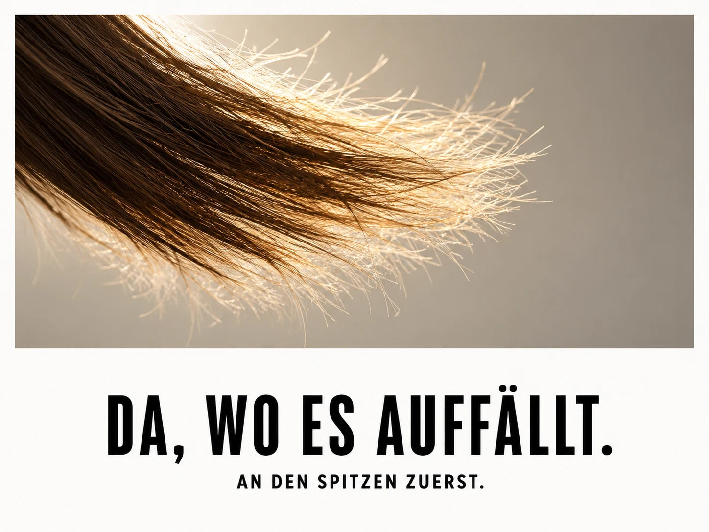 Nahaufnahme trockener Haarspitzen im Gegenlicht